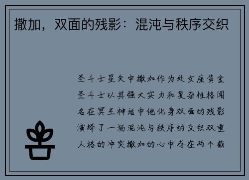 撒加，双面的残影：混沌与秩序交织