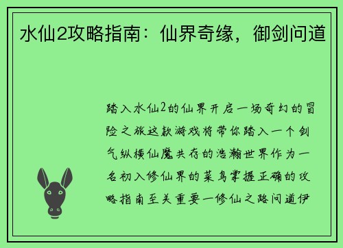 水仙2攻略指南：仙界奇缘，御剑问道